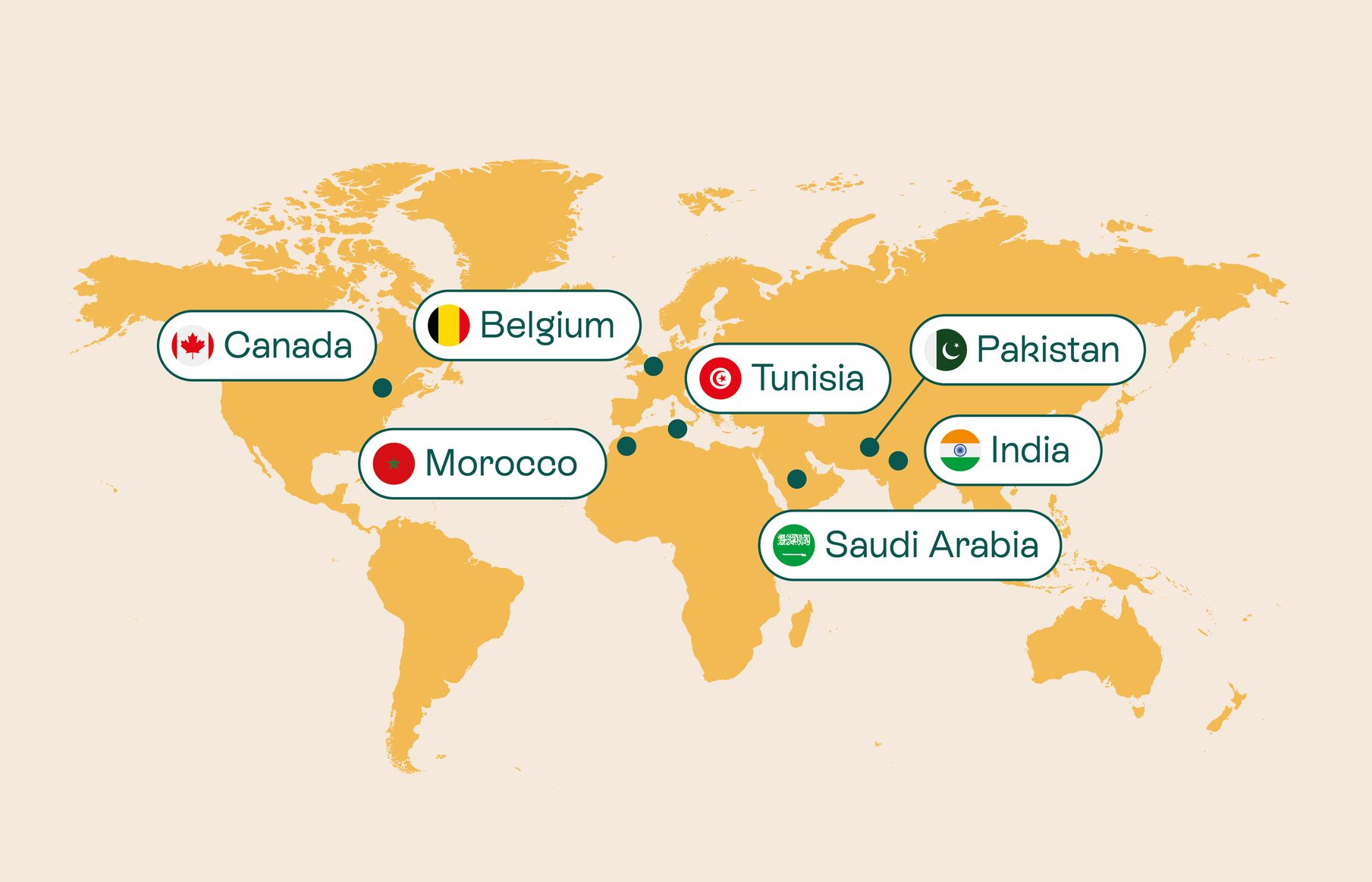 Solution Founder global presence and international offices