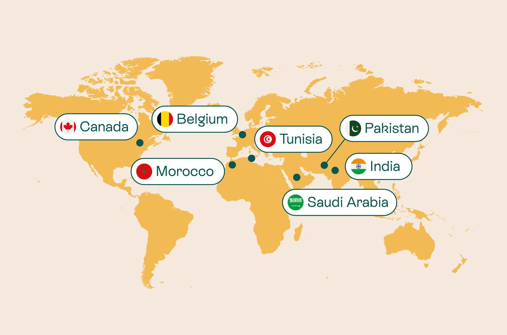 Solution Founder global presence and international offices