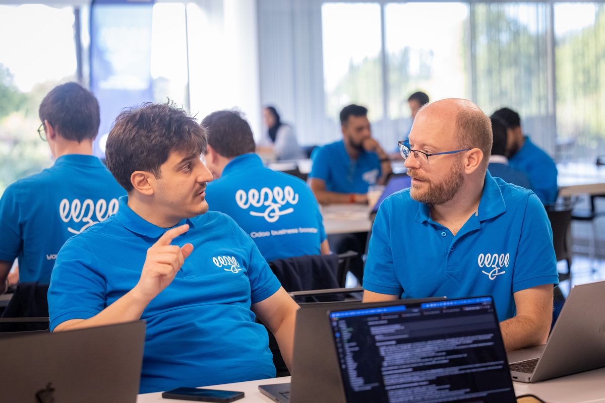 Eezee consultants discussing an Odoo project